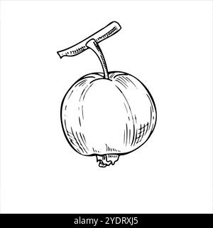 Fruit de goyave sucré entier frais sur vecteur de branche d'arbre illustration isolée peinte par des encres noires. Esquisse dessinée à la main de pomme tropicale dans un graphisme réaliste Illustration de Vecteur