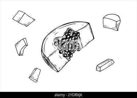 Fluing tranches de papaye juteuse avec des graines dessinées à la main vecteur isolé dessin peint par des encres noires. Chute exotique sucré pawpaw fruit réaliste Illustration de Vecteur