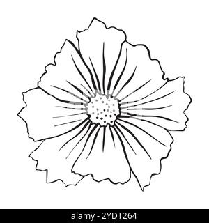 Illustration vectorielle de fleur de cosmos. Cosmos Flower pour votre conception. Illustration de Vecteur