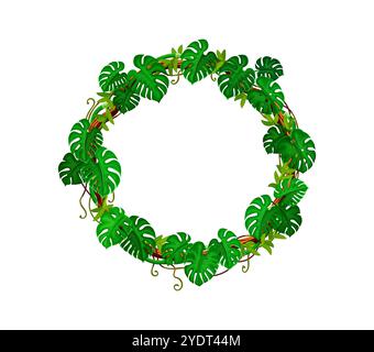Jungle monstera feuilles et liane cadre rond. Forêt tropicale nature arbuste de vigne feuilles de vecteur de bande dessinée isolé cadre rond, branche de liane de crampon de flore de forêt tropicale africaine, cercle de plantes de lierre Illustration de Vecteur