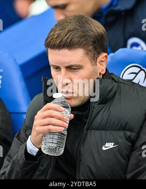 Fabian Hurzeler, entraîneur-chef de Brighton, prend un verre lors du match de premier League entre Brighton et Hove Albion et Wolverhampton Wanderers au stade American Express , Brighton , Royaume-Uni - 26 octobre 2024. Photo Simon Dack / images de téléobjectif. Usage éditorial exclusif. Pas de merchandising. Pour Football images, les restrictions FA et premier League s'appliquent inc. aucune utilisation d'Internet/mobile sans licence FAPL - pour plus de détails, contactez Football Dataco Banque D'Images