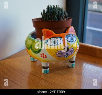 Pot de chat avec décoration de plante de cactus Banque D'Images