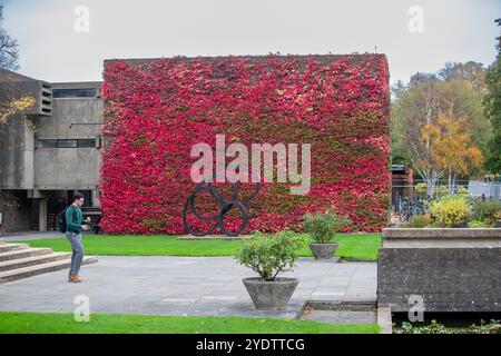 La photo datée du 21 octobre montre l'un des plus grands murs de la Grande-Bretagne du lierre de Boston, sur le Churchill College de l'Université de Cambridge, qui a tourné au rouge. Banque D'Images