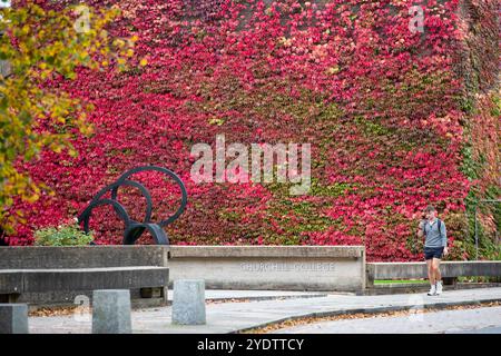 La photo datée du 21 octobre montre l'un des plus grands murs de la Grande-Bretagne du lierre de Boston, sur le Churchill College de l'Université de Cambridge, qui a tourné au rouge. Banque D'Images