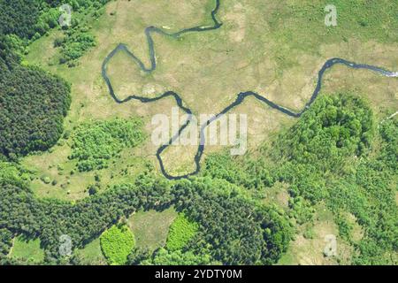 Vue aérienne, rivière, ruisseau, forêt, clairière, sentiers animaliers, naturels, sinueux, Pologne, Europe Banque D'Images