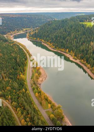 Vue aérienne d'une rivière serpentant à travers une forêt avec une route adjacente en automne, barrage de Nagold, Forêt Noire, Allemagne, Europe Banque D'Images