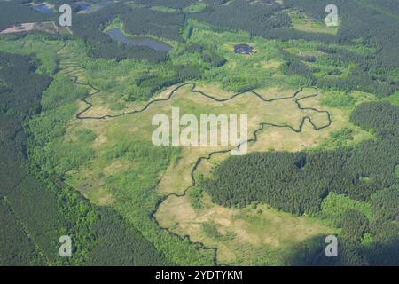 Vue aérienne, rivière, ruisseau, forêt, clairière, sentiers animaliers, naturels, sinueux, Pologne, Europe Banque D'Images