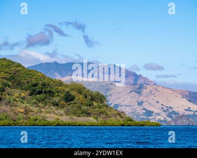 Scène de la côte le long du côté nord-est de Viti Levu, Fidji, Pacifique Sud, Pacifique Banque D'Images