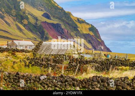 Vue de la parcelle de pommes de terre sur Tristan da Cunha, l'endroit habité le plus reculé sur Terre, Tristan da Cunha, océan Atlantique Sud Banque D'Images