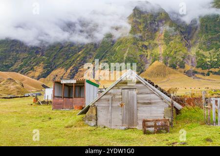 Vue de la parcelle de pommes de terre sur Tristan da Cunha, l'endroit habité le plus reculé sur Terre, Tristan da Cunha, océan Atlantique Sud Banque D'Images