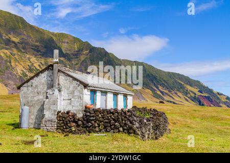 Vue de la parcelle de pommes de terre sur Tristan da Cunha, l'endroit habité le plus reculé sur Terre, Tristan da Cunha, océan Atlantique Sud Banque D'Images