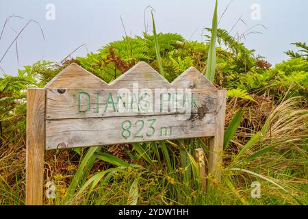 Signe sur le pic sur le sentier du parc national de Diana's Peak sur Sainte-Hélène, océan Atlantique Sud Banque D'Images