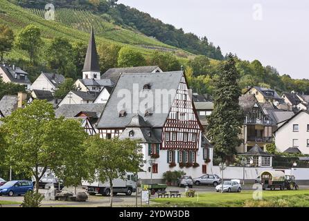 La vallée de la Moselle est l'une des plus belles parties de l'Allemagne. Des deux côtés de la rivière, des châteaux romantiques dominent des vignobles sans fin, où exceller Banque D'Images