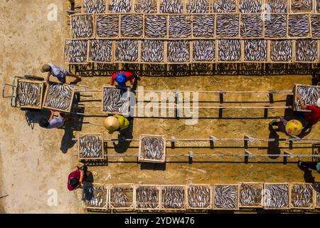 Séchage du poisson à Vung Tau, Vietnam, Indochine, Asie du Sud-est, Asie Banque D'Images