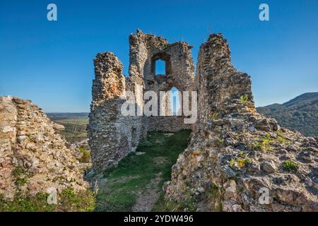 Ruines du château de Brekov (Brekovsky hrad), XIVe siècle, près de Humenne, région de Prešov, Slovaquie Banque D'Images