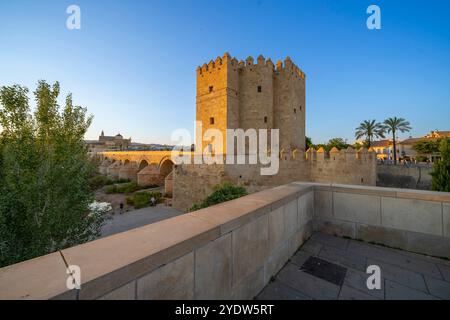 Tour Calahorra, Cordoue, site du patrimoine mondial de l'UNESCO, Andalousie, Espagne, Europe Banque D'Images