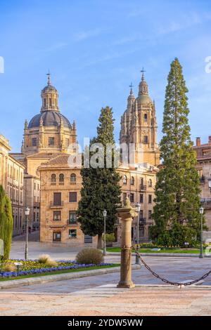 Catedral Vieja de Santa Maria de la Sede de Salamanca, Salamanque, site du patrimoine mondial de l'UNESCO, Castille-et-Léon, Espagne, Europe Banque D'Images