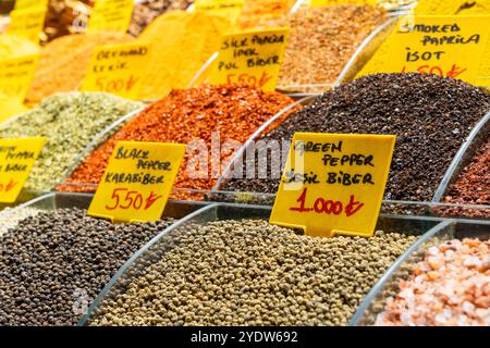 Différentes épices exposées dans le magasin, Bazar égyptien (marché aux épices), Eminonu, district de Fatih, province d'Istanbul, Turquie, Europe Banque D'Images