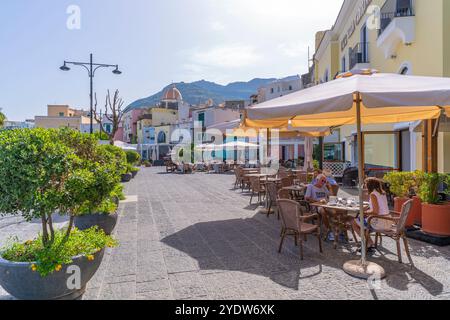 Vue des cafés, bars et église Chiesa di San Gaetano, Forio, île d'Ischia, Campanie, Italie, Europe Banque D'Images