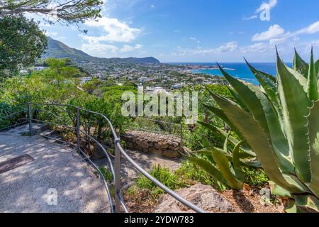 Vue de la flore tropicale dans les jardins botaniques Giardini la Mortella et Forio en arrière-plan, Forio, île d'Ischia, Campanie, Italie, Europe Banque D'Images