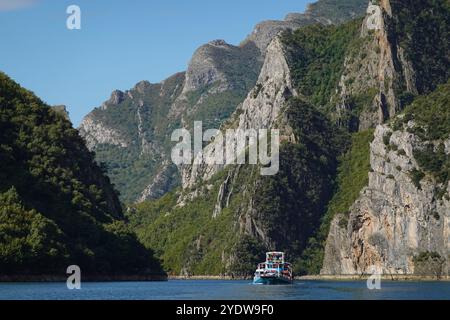 Lac Koman, un réservoir sur la rivière Drin dans le nord de l'Albanie, entouré de collines boisées denses, pentes verticales, gorges profondes, Albanie Banque D'Images