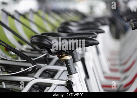 De nombreux vélos de location d'une entreprise sont garés dans la rue près d'un parc à Cologne Banque D'Images