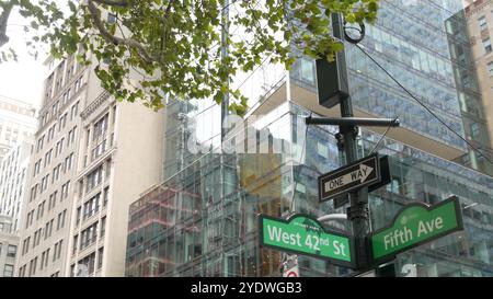 Fifth Avenue, 5 Ave Road sign, Manhattan Midtown Highrise gratte-ciel architecture, New York City 5th av, 42 Street corner près de Bryant Park et Library. Carrefour de signalisation de flèche à sens unique, États-Unis. Banque D'Images