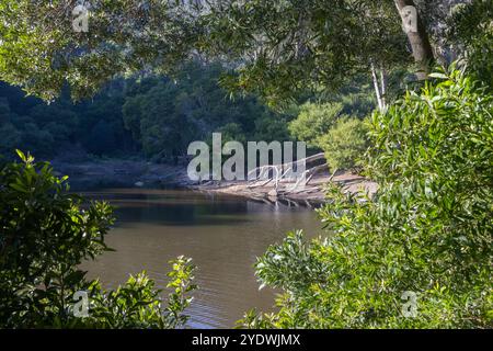 Feuillage luxuriant encadrant une vue tranquille sur le barrage de rio da mula au cœur de la serra de sintra, portugal, mettant en valeur la beauté de la nature Banque D'Images