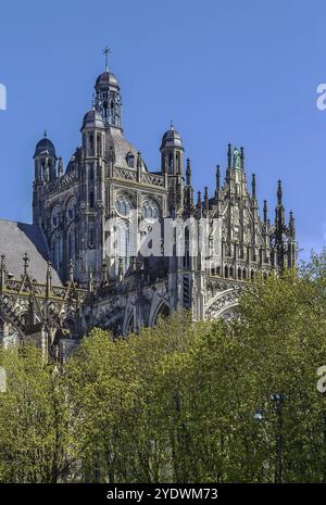 L'église Catholique Romaine de Saint Jean de 's-Hertogenbosch est le sommet de l'architecture gothique aux pays-Bas Banque D'Images