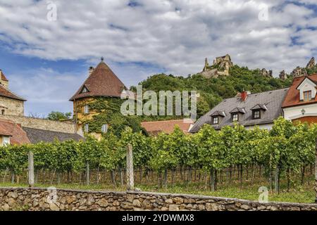 Vue sur le château de Durnstein et le vignoble à Durnstein, Autriche, Europe Banque D'Images