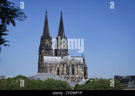 L'imposante cathédrale trône sur une colline surplombant le centre-ville historique de Cologne, avec le musée Ludwig caché derrière des arbres au premier plan Banque D'Images