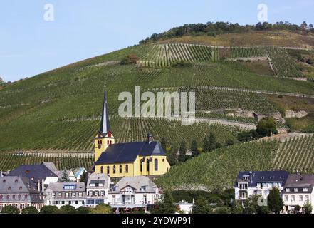 La vallée de la Moselle est l'une des plus belles parties de l'Allemagne. Des deux côtés de la rivière, des châteaux romantiques dominent des vignobles sans fin, où exceller Banque D'Images