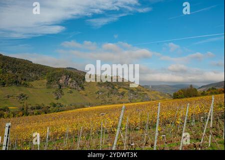 Vallée de la moselle près d'Enkirch en Allemagne en automne Banque D'Images