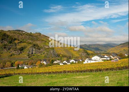 Vue sur le village Burg dans la vallée de la moselle près d'Enkirch en Allemagne en automne Banque D'Images