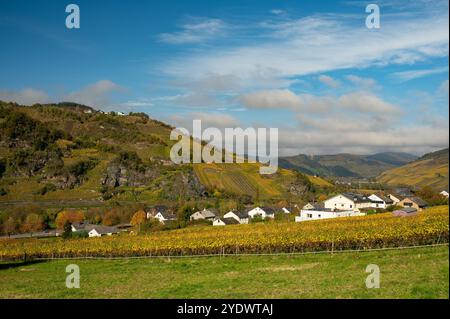 Vue sur le village Burg dans la vallée de la moselle près d'Enkirch en Allemagne en automne Banque D'Images