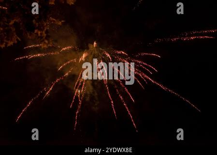 Feu d'artifice doré éclatant contre le ciel nocturne Banque D'Images