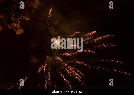 Feu d'artifice doré éclatant contre le ciel nocturne Banque D'Images