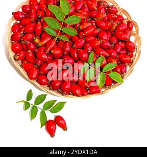 Rosehips dans un panier sur un fond blanc Banque D'Images