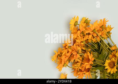 Bouquet de fleurs d'arnica sur un fond bleu. Composition avec espace de copie. Banque D'Images