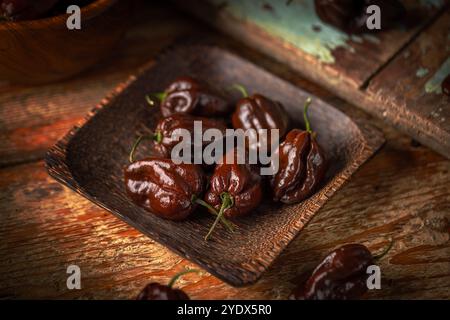 Poivrons habanero au chocolat mettant en valeur leur riche couleur et texture Banque D'Images