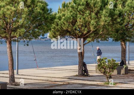 Homme seul pêchant avec deux cannes sur la rive de l'estuaire de la rivière Tago parmi les arbres à feuilles vertes dans la ville de Lisbonne, capitale du Portugal. Banque D'Images