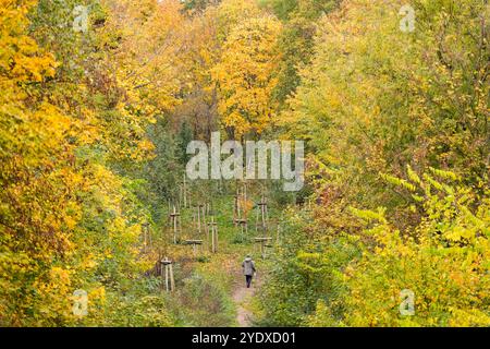 Berlin, Allemagne. 28 octobre 2024. Un homme marche parmi le feuillage automnal des arbres et des buissons dans le parc Friedrichshain. Crédit : Soeren Stache/dpa/ZB/dpa/Alamy Live News Banque D'Images