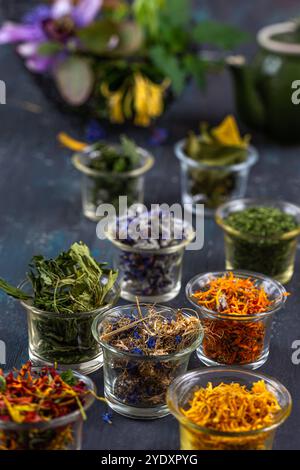 Plantes médicinales séchées et fleurs avec un mortier rempli de plantes et une théière au fond. Pose d'infusion avec panneau de plantes médicinales 016357 00 Banque D'Images