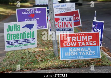 Panneaux politiques à l'extérieur de Polling place Banque D'Images