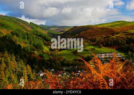 Villages de Ceinws et Esgargellog de la forêt de Dyfi à Powys montrant les couleurs d'automne avec les bois et la forêt dans le soleil d'automne ensoleillé Banque D'Images