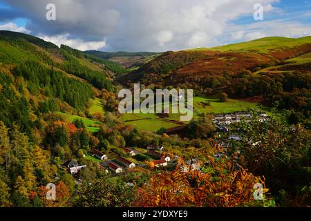 Villages de Ceinws et Esgargellog de la forêt de Dyfi à Powys montrant les couleurs d'automne avec les bois et la forêt dans le soleil d'automne ensoleillé Banque D'Images