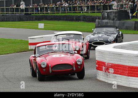 Nigel Greensall, John Spiers, AC Cobra, Stirling Moss Memorial Trophy, avec des GT à cockpit fermé qui ont couru avant 1963, une heure, deux pilotes Banque D'Images