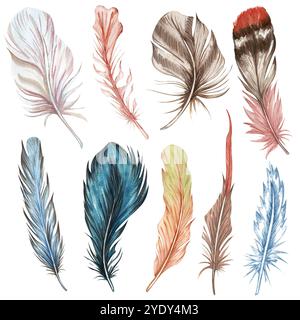 Ensemble de plumes d'aquarelle dessinées à la main. Plumes d'oiseau boho cipart Banque D'Images