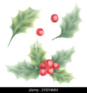 Illustration aquarelle de plante houx de Noël isolée sur blanc. Ensemble dessiné à la main de baies rouges et de feuilles vertes pour la saison des vacances d'hiver, nouvel an Banque D'Images