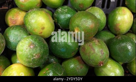 Limes (Citrus aurantifolia) Key Lime à vendre Banque D'Images